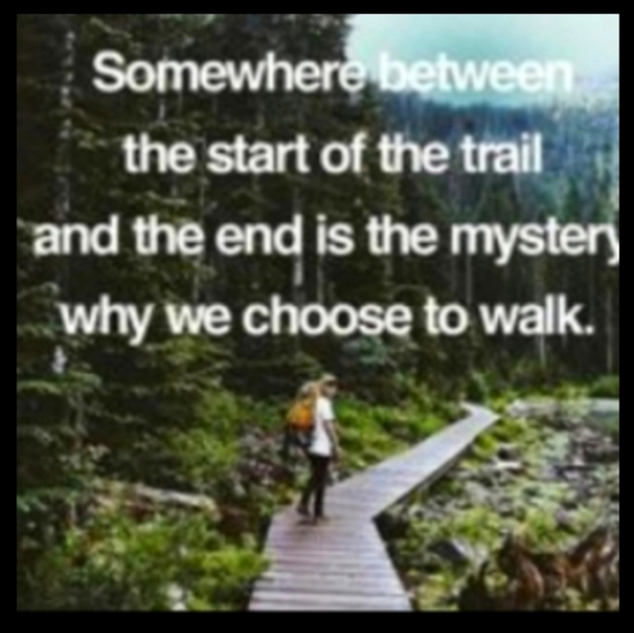 π¦ Vintage Ralph Lauren Buck Pheasant Shirt XL Hunting Scene UniSex - Picture 14 of 16